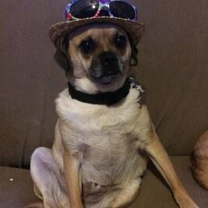 Meet your Posher, Dana